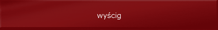 wy�cig